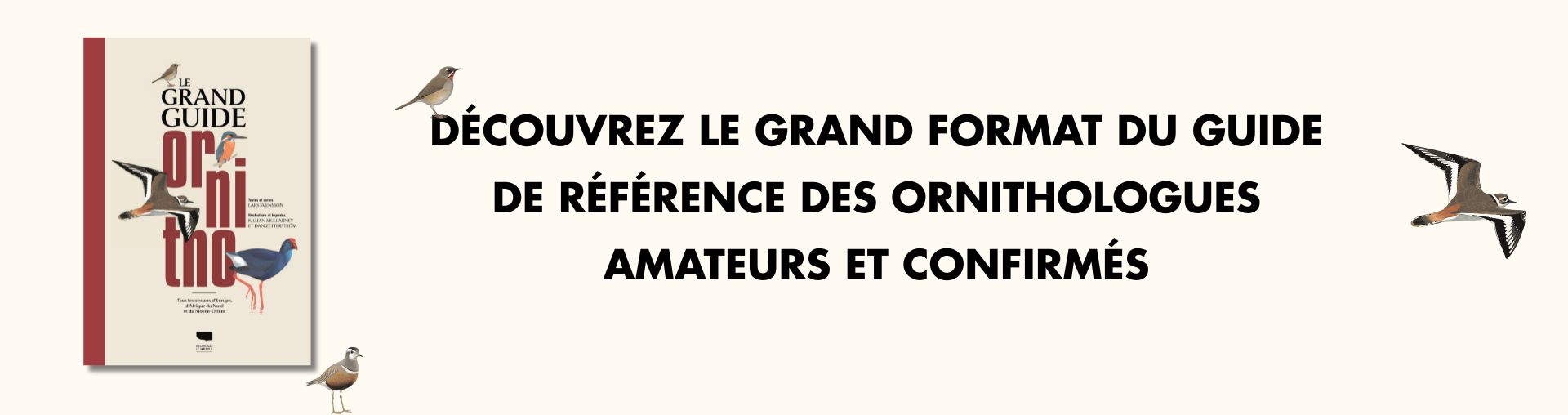 Couverture de l'ouvrage