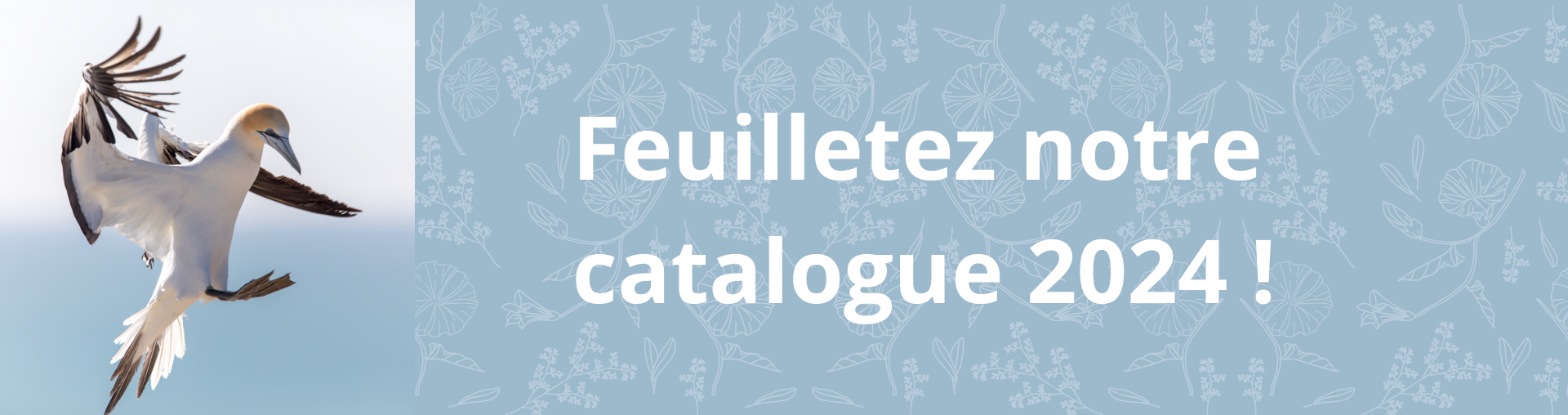 Couverture de l'ouvrage