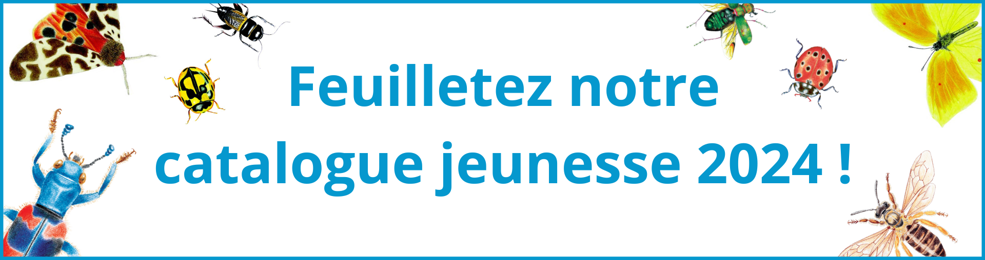 Couverture de l'ouvrage
