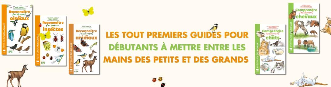 Reconnaître et comprendre facilement